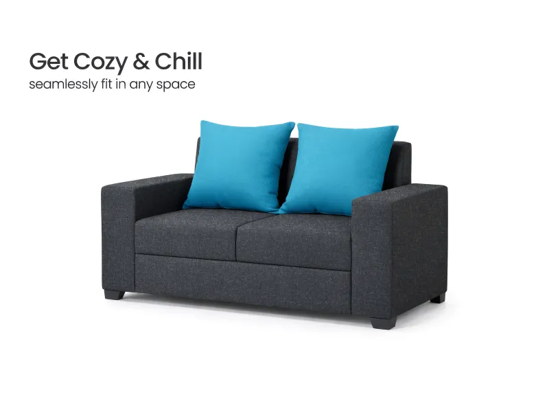 Hugo Upholstered Two Seater Sofa in Livid Color